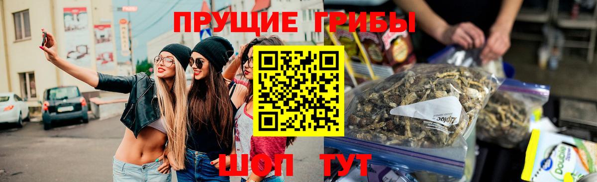 Галлюциногенные грибы MAGIC MUSHROOMS  Вход с VPN  Карасук 